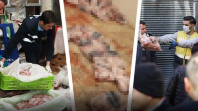 İğrenç görüntüler! Yetkililer bile şoke oldu