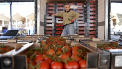 Rusya domates alımını durdurdu