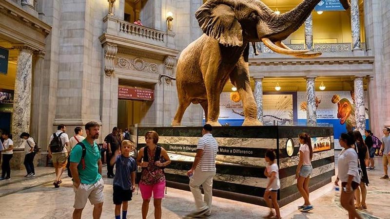 Müze giriş fiyatları düşürülmeli