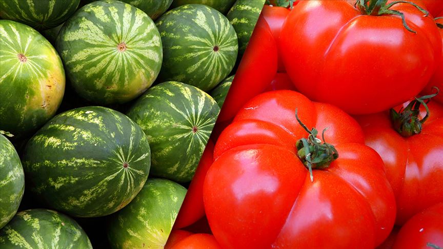 İstanbul hallerinde geçen yıl en çok karpuz ve domates satıldı