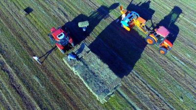 Kırsal kalkınma için 1231 projeye 310 milyon lira hibe desteği