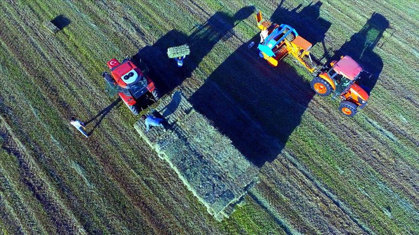 Kırsal kalkınma için 1231 projeye 310 milyon lira hibe desteği