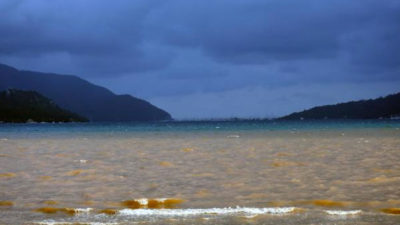 İsyan ettiren görüntü! Denizin rengi kahverengiye dönüştü