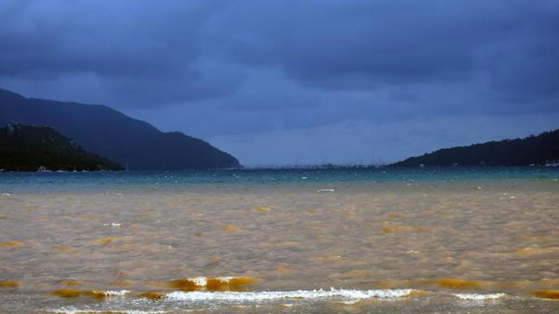 İsyan ettiren görüntü! Denizin rengi kahverengiye dönüştü