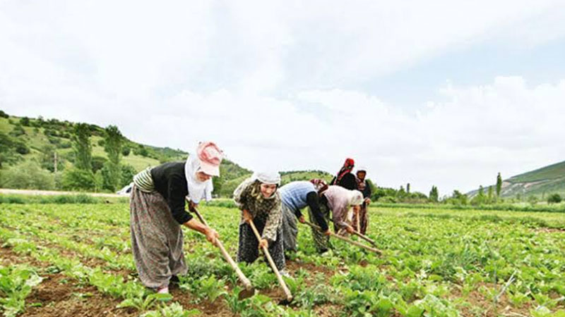 Esnaf ve çiftçi sicil affı istiyor