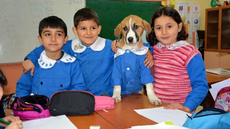 Mezarlıkta bulunan ‘Fındık’ okulun maskotu oldu