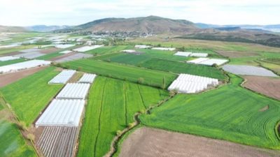 Bursa’nın iki ilçeside tarlalar birleştiriliyor