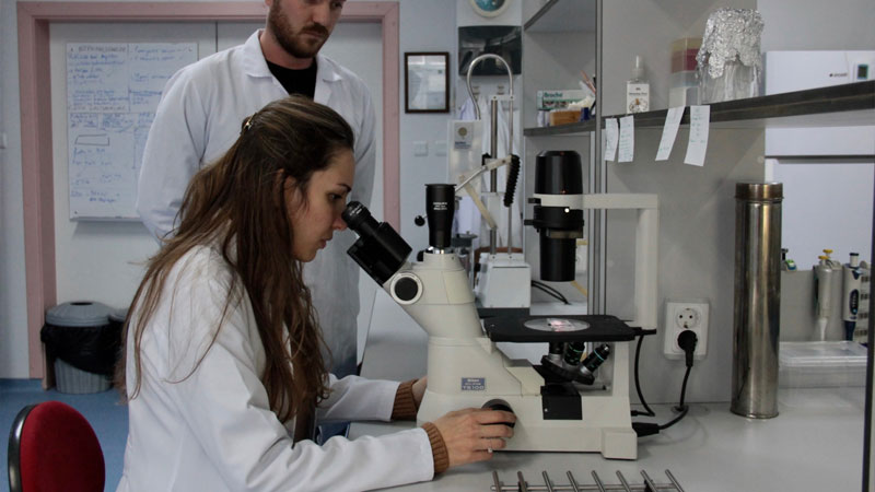 Bursa’da yerli aşı geliştiriliyor