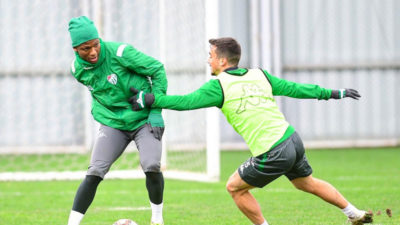 Timsah harıl harıl