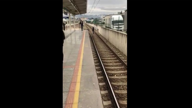 Bursaray'ın Altınşehir İstasyonu'nda rayların olduğu bölüme giren bir köpek seferlerin