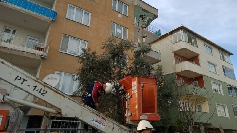 Bursa’da kedi kurtarma operasyonu Bursa’nın Mustafakemalpaşa ilçesinde elektrik direğine çıkan kediyi ekipler kurtardı.