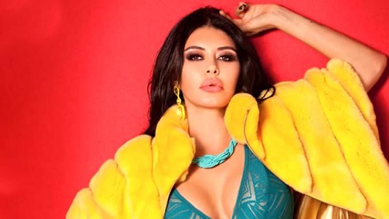 Ünlü şarkıcı Ebru Polat, sosyal medya hesabından önce konserinde ettiği
