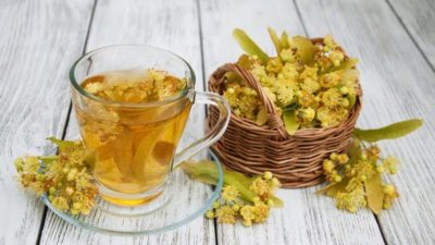 Ihlamurun faydaları nelerdir? Hangi hastalıklara iyi gelir?