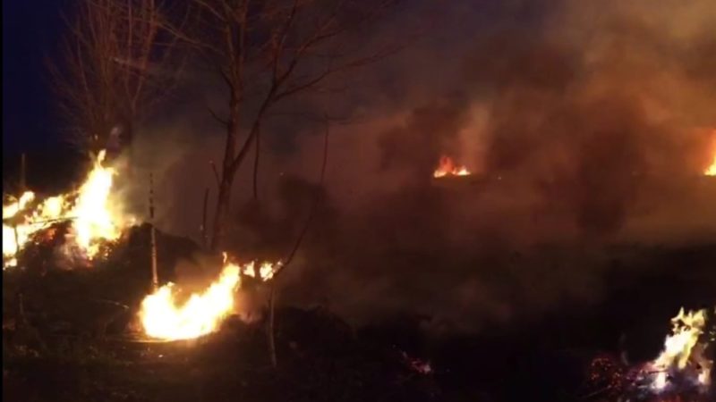 İznik’te sazlık alanda yangın Bursa’nın İznik ilçesinde sazlık alanda çıkan korkutan yangın kontrol altına