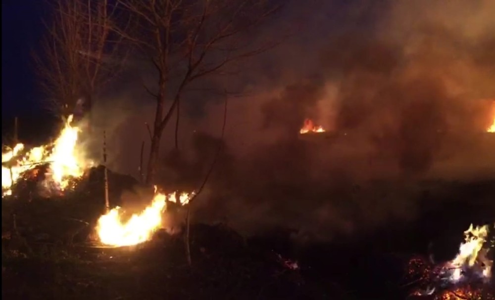 İznik’te sazlık alanda yangın İznik’te sazlık alanda yangın