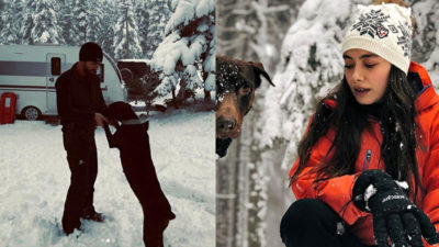 Yarım milyona karavan aldılar