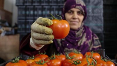 Türk ürünleri için fırsat