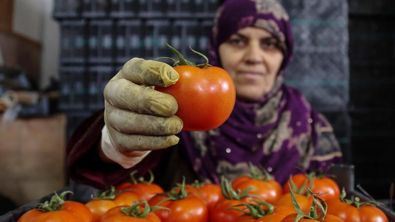 Türk ürünleri için fırsat Türk ürünleri için fırsat