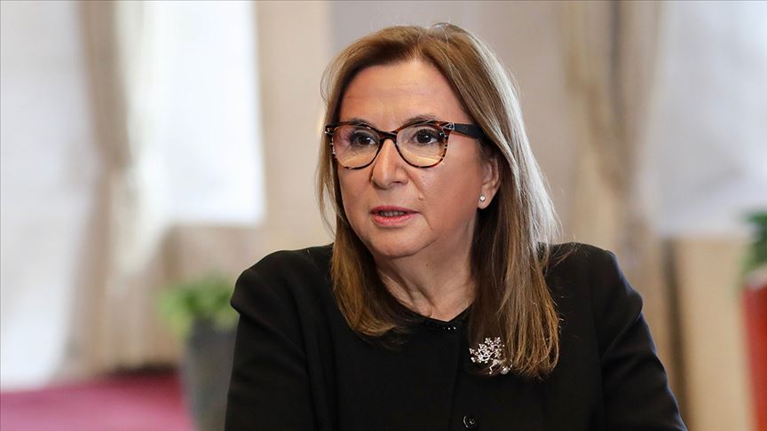 Ticaret Bakanı: Sarp, Türkgözü ve Aktaş sınır kapılarının kapasiteleri artırıldı