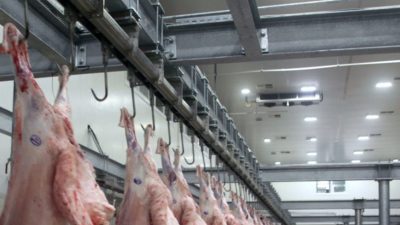 Şarbon hastalığı tespit edildi! Mezbaha ve havyan pazarı kapatıldı