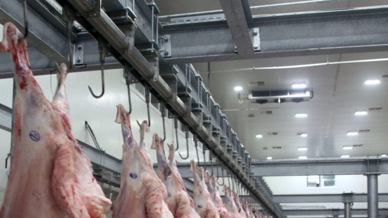 Bursa’nın Yenişehir’in ilçesinde mezbahada kesilen bir hayvanda şarbon hastalığı görülmesi