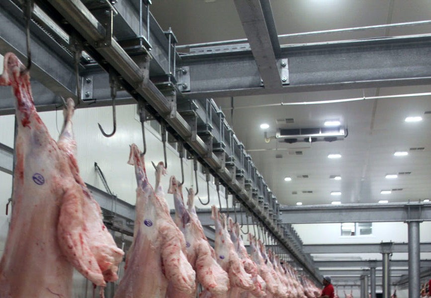 Şarbon hastalığı tespit edildi! Mezbaha ve havyan pazarı kapatıldı