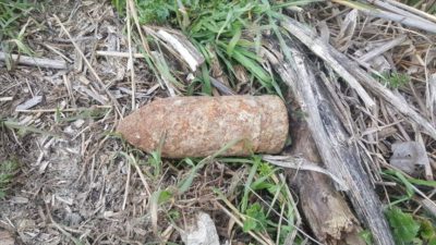 Tarlayı sürerken buldu! Hemen jandarmaya haber verdi…