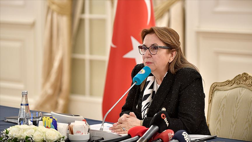 ‘Türkiye ekonomisinin olumlu seyri göstergelere de yansıyor’