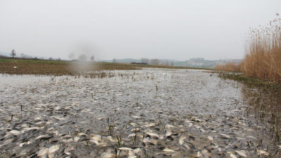 Bursa’da suyun çekilmesiyle gün yüzüne çıktı! Vatandaşlar topladı…