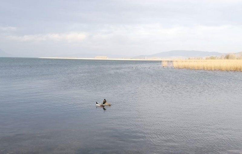 BUSKİ’den açıklama: İznik’te göle deşarj söz konusu değil