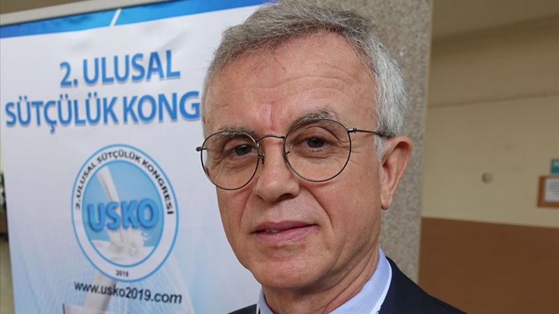 Süt üretimi artıyor