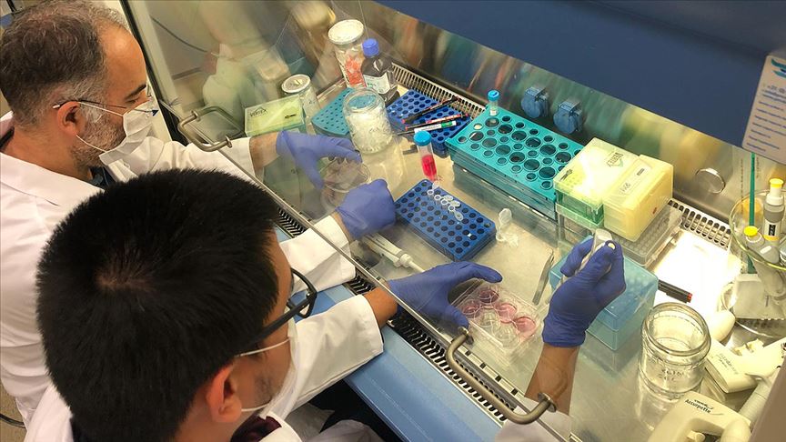 Türk bilim insanı açıkladı: Koronavirüse karşı etkili olacak