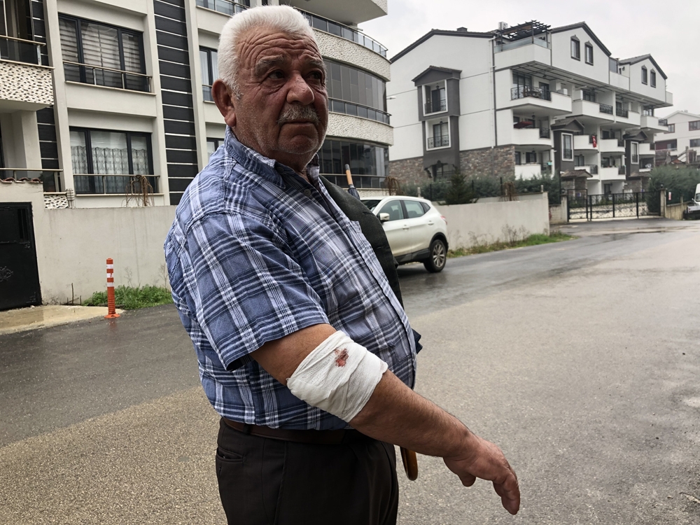 Başıboş köpekler yaşlı adama saldırdı, hastanelik etti Başıboş köpekler yaşlı adama saldırdı, hastanelik etti