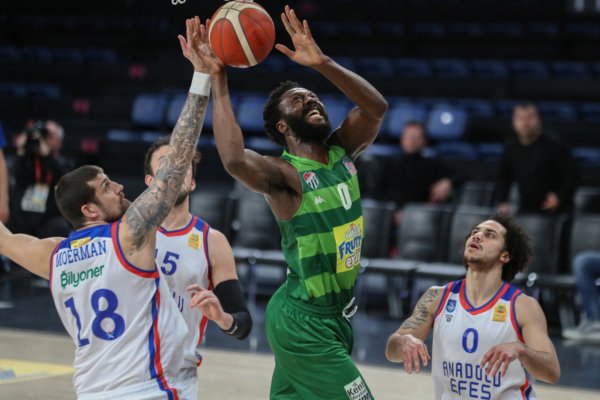 Timsah’ın potada tadı yok