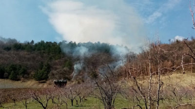 Bursa’da orman yangını!