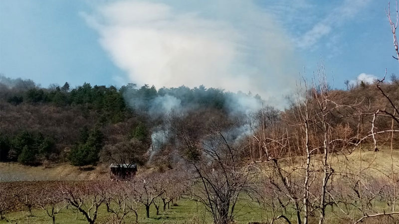 Bursa’da orman yangını!