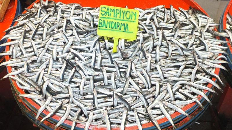 Hamsi 35 liraya çıktı