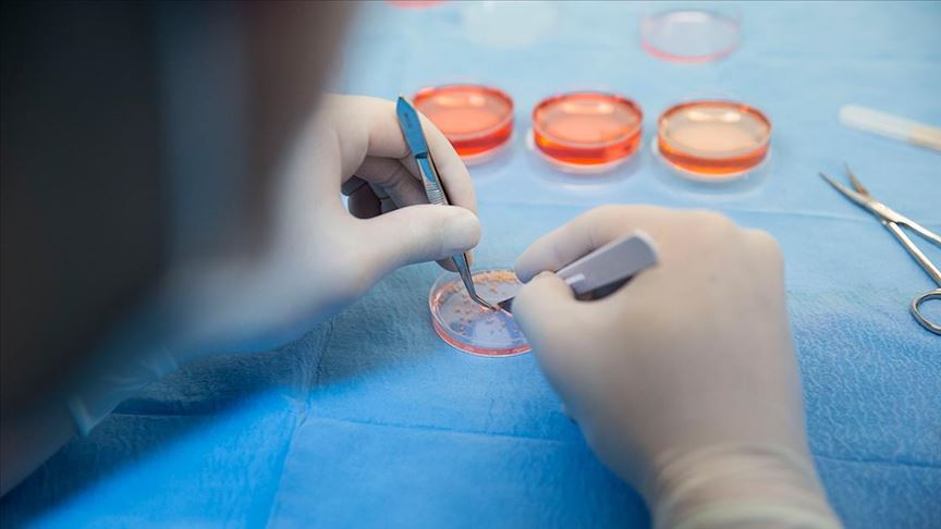 Yüzeylerde 3 gün yaşıyor denilmişti! Koronavirüs ile ilgili korkutan gerçek