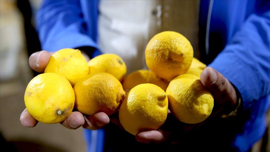 Limonda korona yüzünden talep patlaması