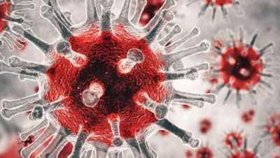 Koronavirüsün filmi geliyor!