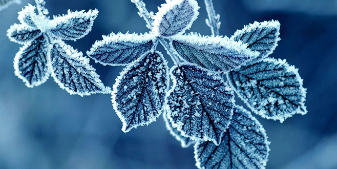 Meteoroloji tarih verdi! Bursa için flaş uyarı