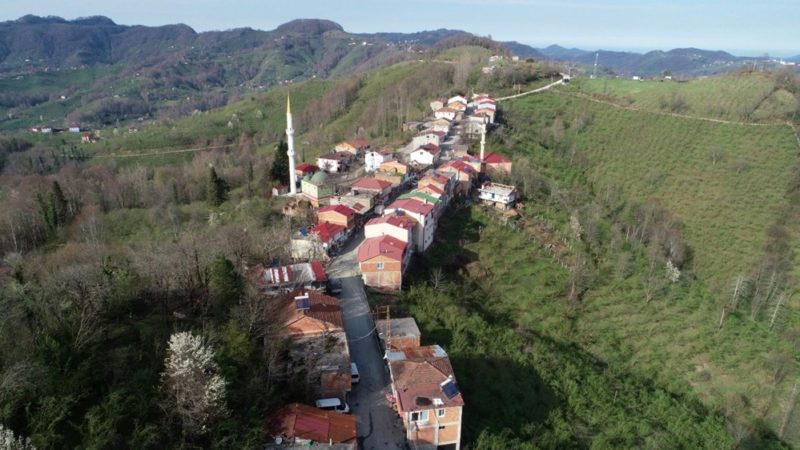 Türkiye’de, koronavirüsle (Covid-19) mücadele kapsamında alınan 30 büyükşehire ve Zonguldak’a