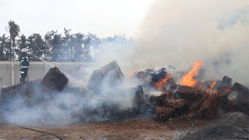 Adana’da pamuk yağı fabrikasında yangın Adana’da pamuk yağı fabrikasında yangın