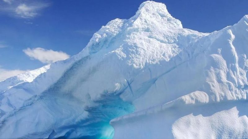 Antarktika'da 90 milyon yıl önce yağmur ormanı bulunduğuna dair kanıt
