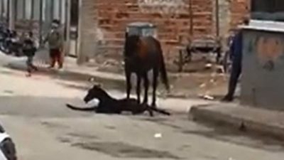 Bursa’da sokak ortasında doğum yaptı