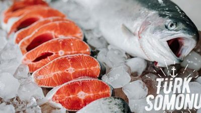 Bakanlık açıkladı! Yarın başlıyor