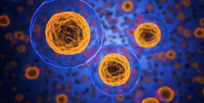 Bilim adamları açıkladı! İşte orucun bilimsel olarak vücuda faydaları…