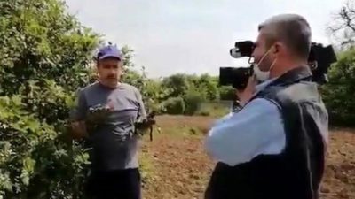 ‘Sahte limon’ haberi soruşturmasında yeni gelişme!