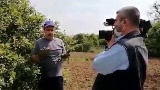 ‘Sahte limon’ haberi soruşturmasında yeni gelişme!