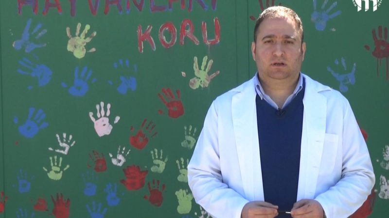 Mustafakemalpaşa Belediyesi Kültür Portalı hem bilgilendiriyor, hem eğlendiriyor Mustafakemalpaşa Belediyesi, her alanda dikkat çeken çalışmalarına bir yenisini daha